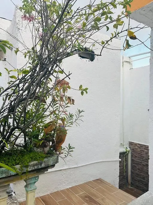 Alojamiento En La Calle 56 Playa Del Carmen Apartment