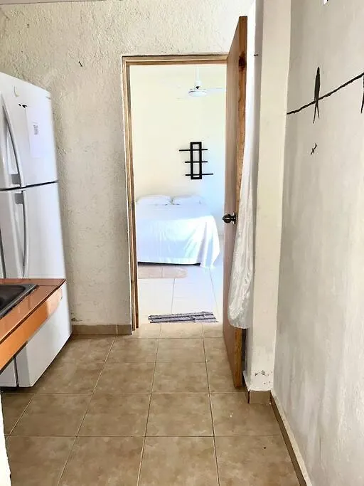 Alojamiento En La Calle 56 Playa Del Carmen Apartment