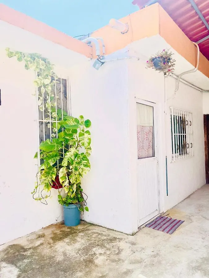 Apartment Alojamiento En La Calle 56 Playa Del Carmen Mexico